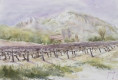 /album/galerie-de-photos-aquarelles/vignoble-dans-les-alpilles-au-printemps-jpeg/